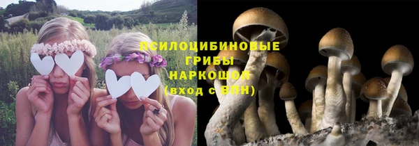 стафф Баксан