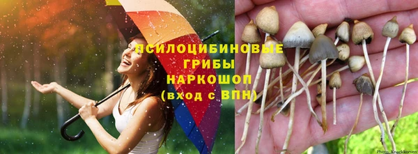 стафф Баксан