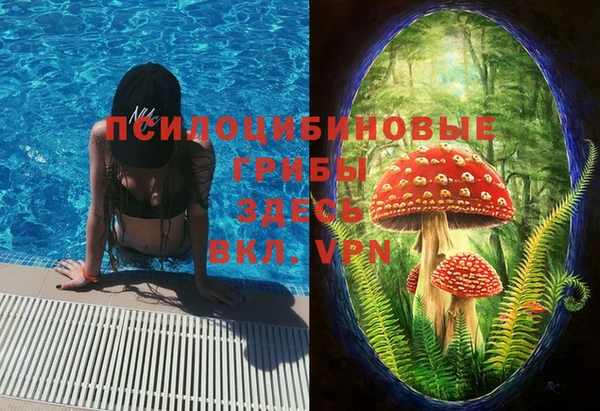 2c-b Балабаново