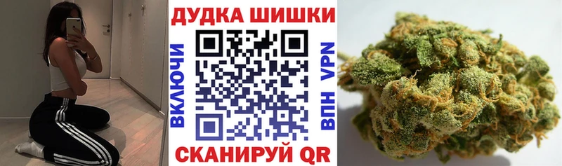 магазин    Борисоглебск  Каннабис конопля 